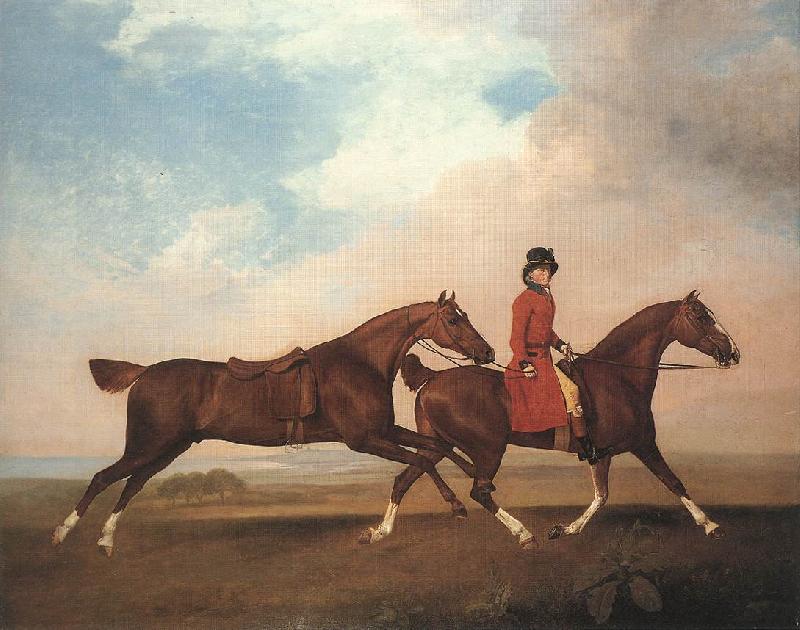 STUBBS, George William Anderson with Two Saddle-horses er oil painting picture